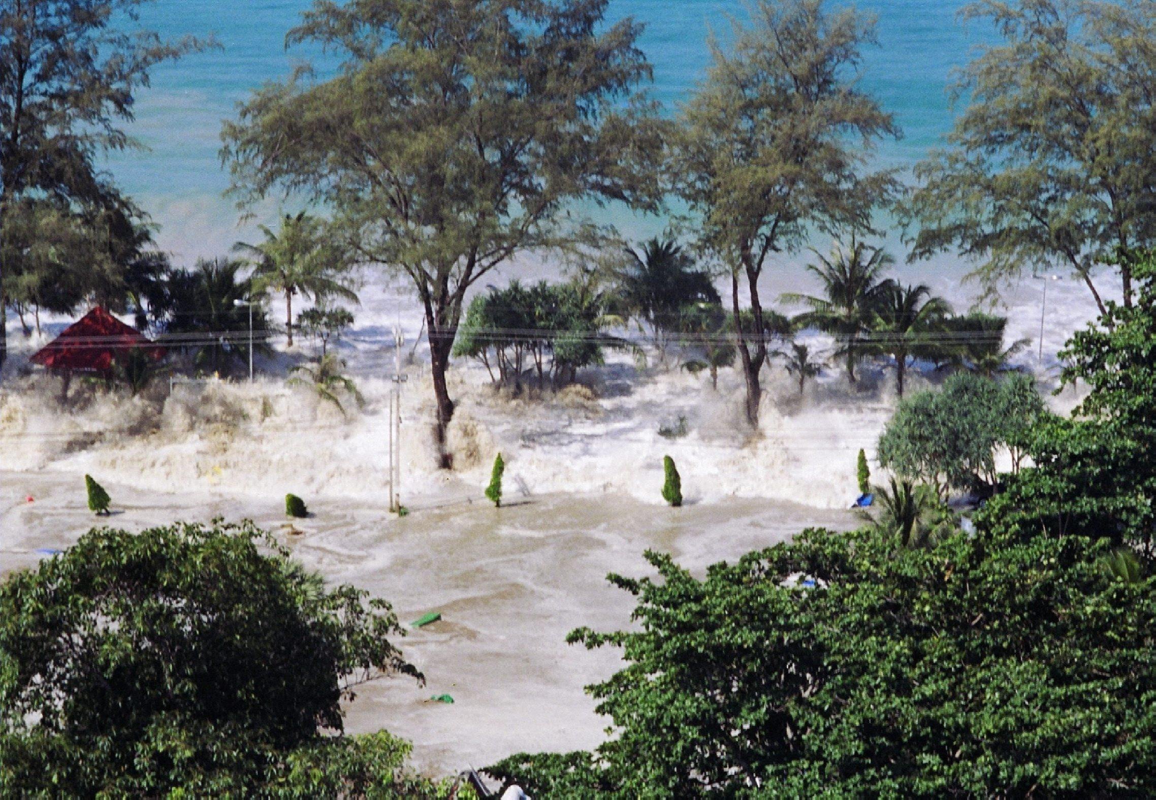 цунами таиланд 2004 год