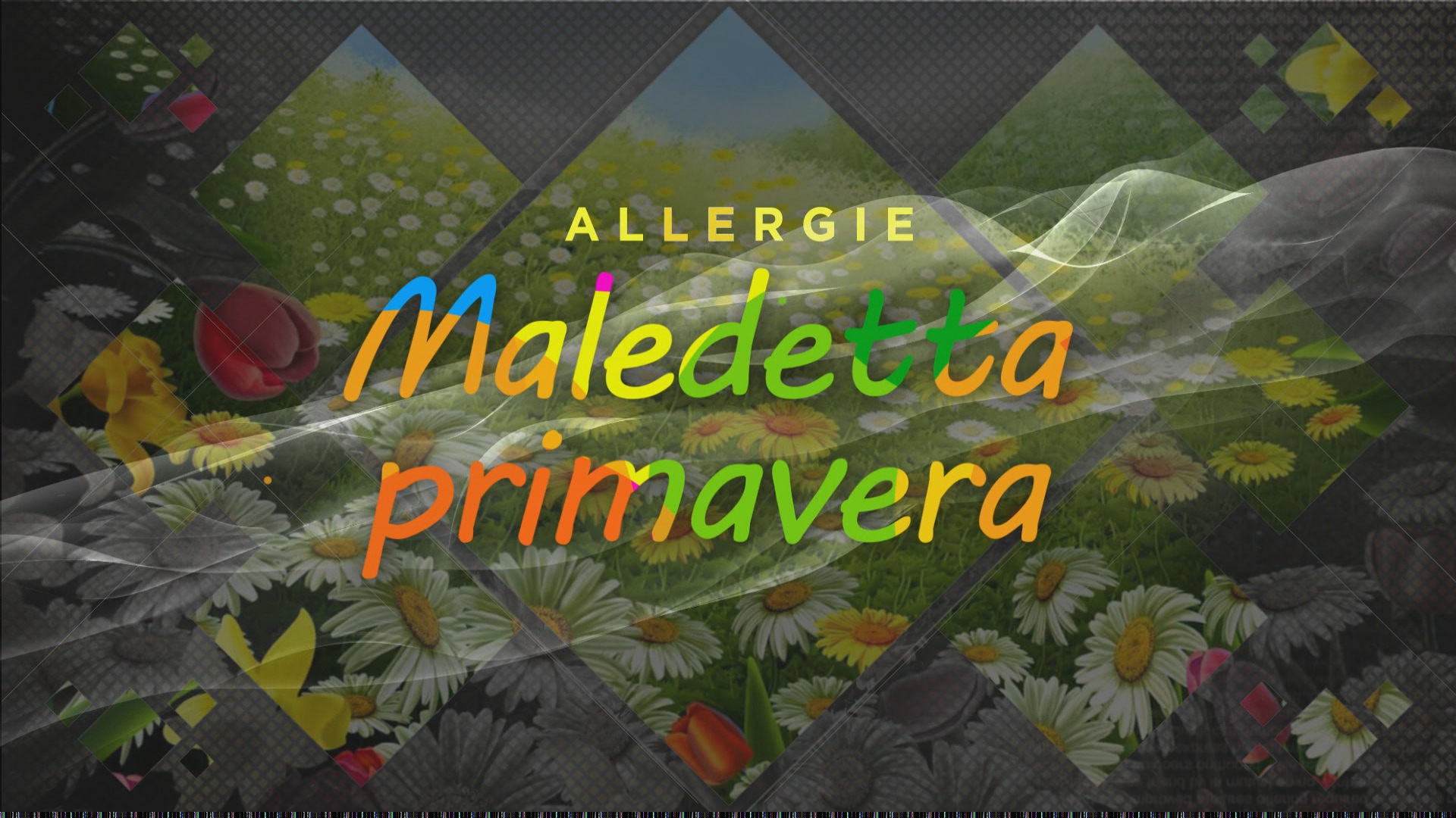 Chi Ha Scritto La Canzone Maledetta Primavera