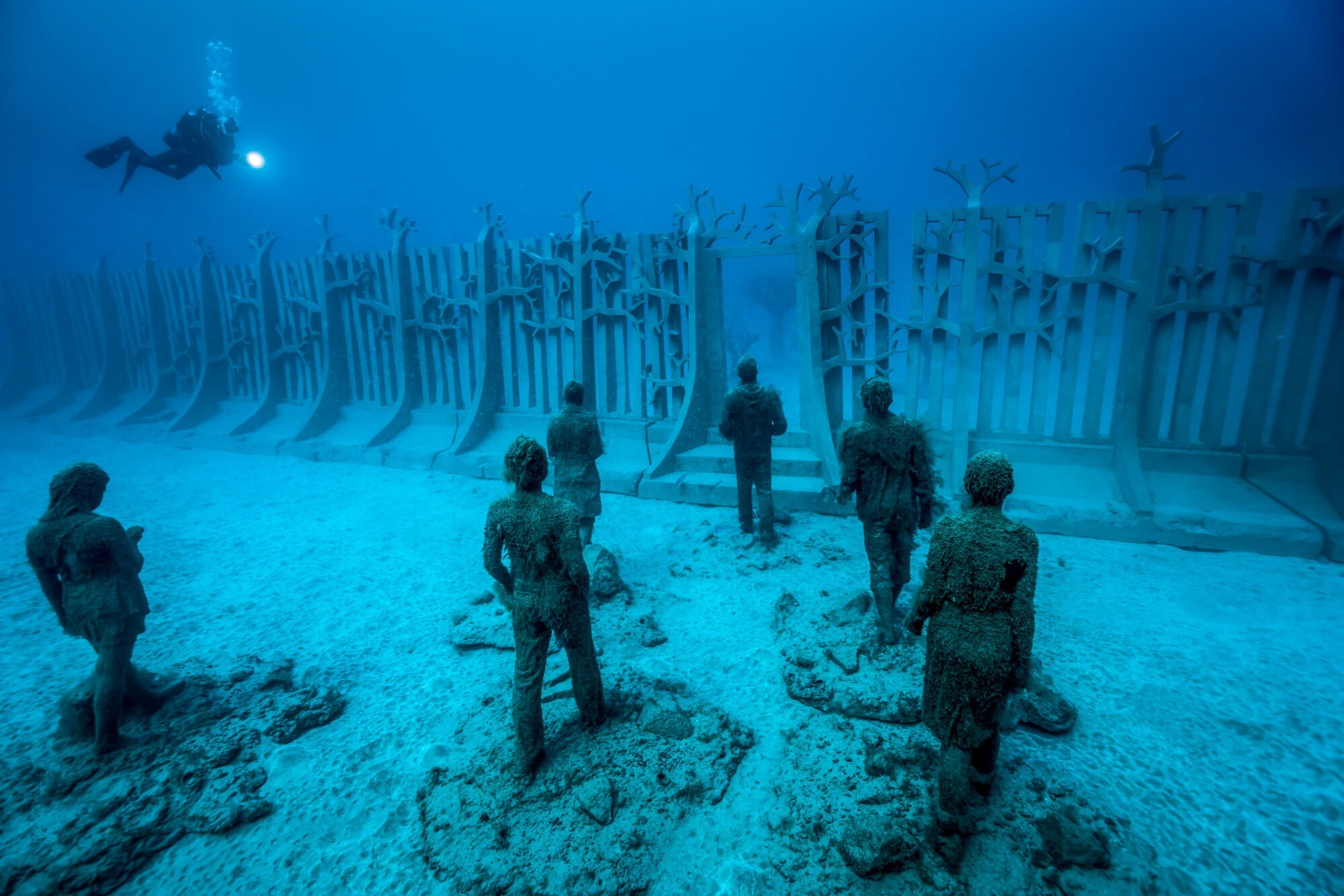 Un Mondo In Fondo Al Mare Aperto Il Museo Atl ntico Photogallery 