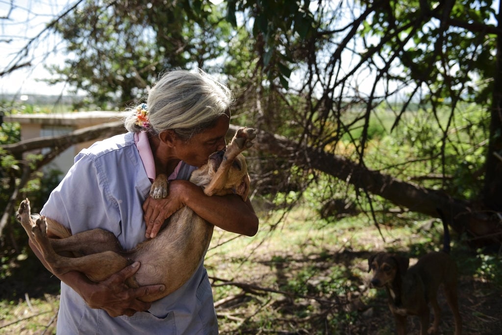 Dog Whisperer - Uno Psicologo Da Cani